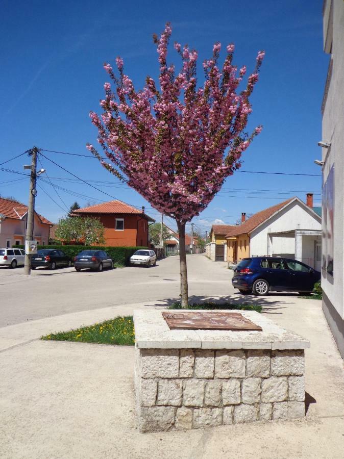 Apartman Bedem Nikšić 外观 照片
